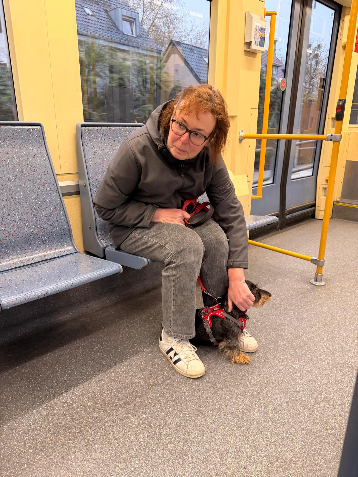 Stadttraining mit Hund an einer Haltestelle in Köln-Mülheim