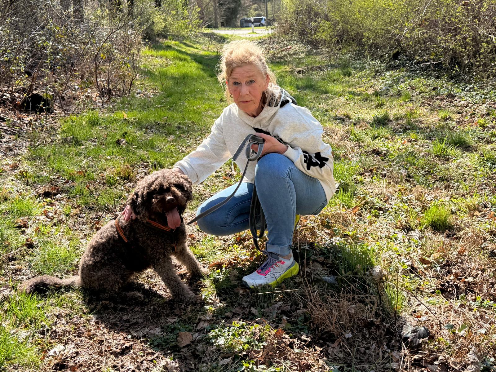Welpentraining im Wald bei Köln: junger Hund lernt Aufmerksamkeit an lockerer Leine